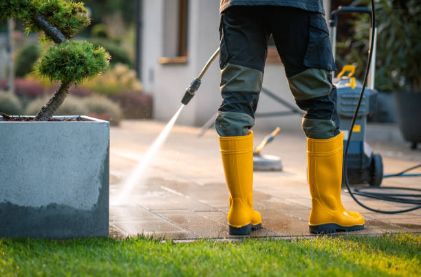 Best House Pressure Washing  in Munsey Park, NY